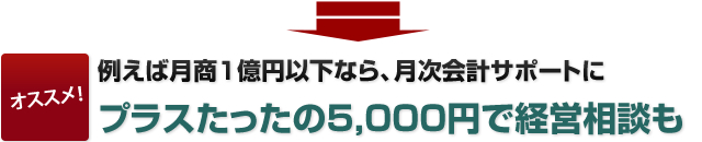 月商一億円以下なら、会計サポートにたったのプラス5,000円で経営相談も